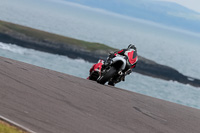 PJ-Motorsport-2019;anglesey-no-limits-trackday;anglesey-photographs;anglesey-trackday-photographs;enduro-digital-images;event-digital-images;eventdigitalimages;no-limits-trackdays;peter-wileman-photography;racing-digital-images;trac-mon;trackday-digital-images;trackday-photos;ty-croes